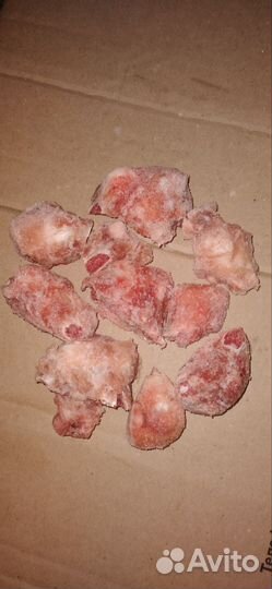 Корм для животных