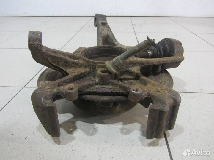 Кулак задний правый