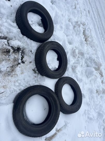 Dunlop SP Winter Maxx WM01 215/65 R16