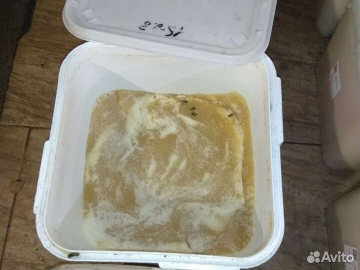 Мёд из Донника. Урожай 2022 года