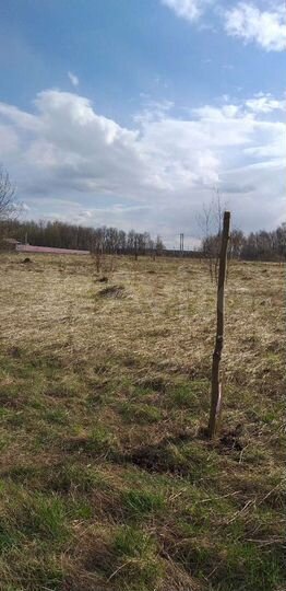 Участок 15 сот. (ИЖС)