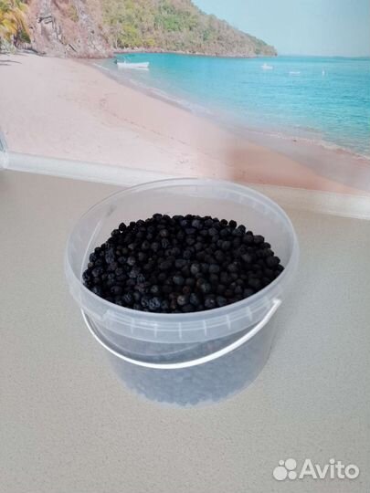 Черноплодная рябина ягоды