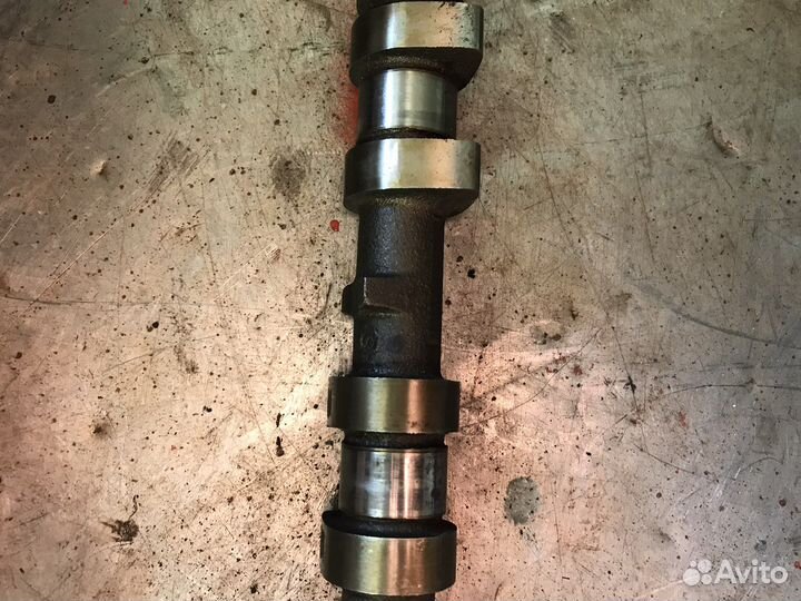 Распредвал выпускной Ford Focus 2 Fusion Fiesta