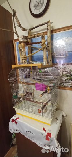 Птичья клетка