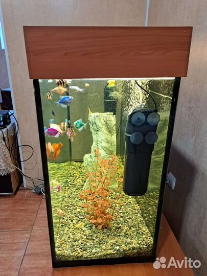 Аквариум с рыбками