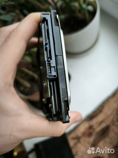 Hdd 500gb