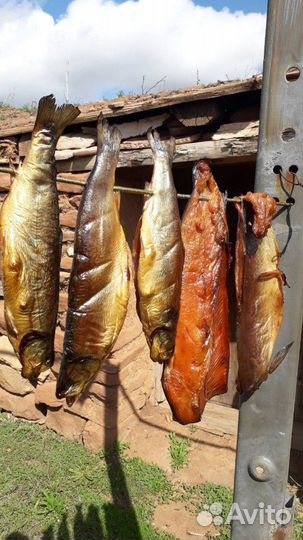 В/в генератор электростатика для коптильни