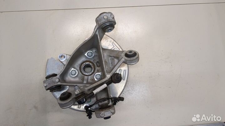 Ступица (кулак, цапфа) Tesla Model Y, 2024