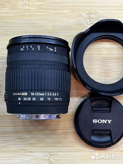 Sigma 18-125 Sony A