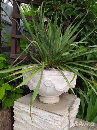 Кашпо для цветов уличное