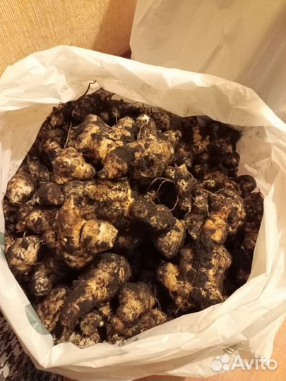 Топинамбур клубни свежие