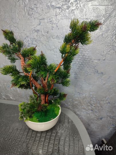 Куст розы,тюльпаны