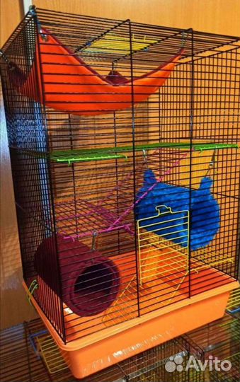 Крыса Крысята с клеткой стартовый набор