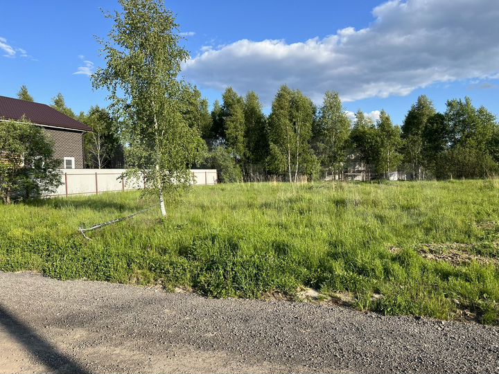 Участок 6,2 сот. (СНТ, ДНП)