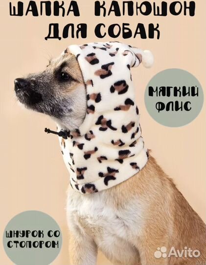 Шапка для собаки