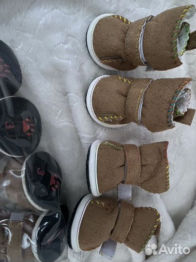 Угги для собак