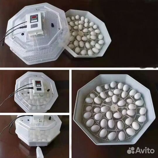 Инкубатор автоматический на 42 яйца в аренду