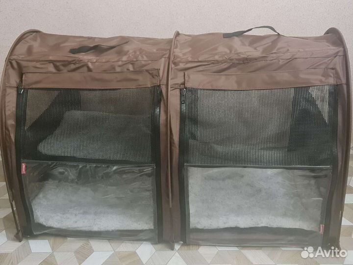 Ладиоли м-34