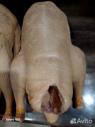 Гусиное мясо