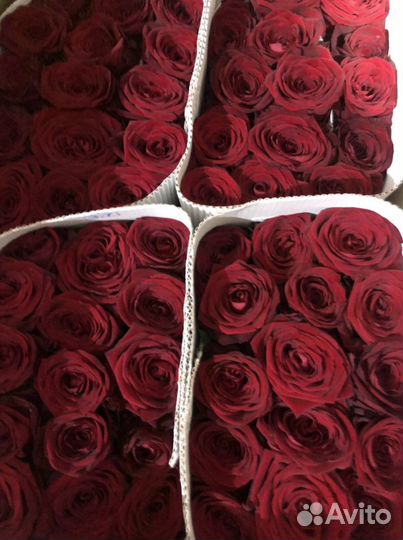 Цветы оптом