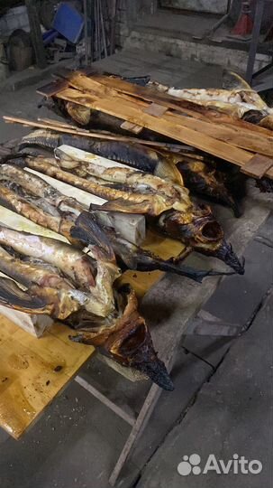 Рыбка Праздничная