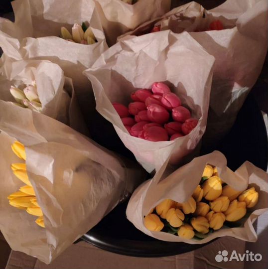 Тюльпаны оптом