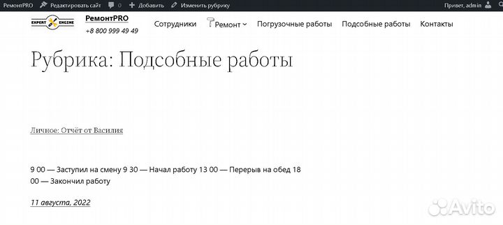 Помощь с сайтом(wordpress)