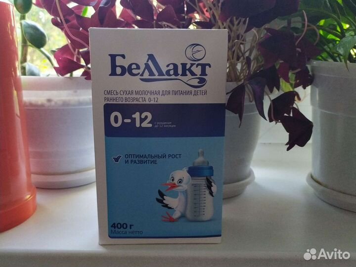 Детская смесь беллакт
