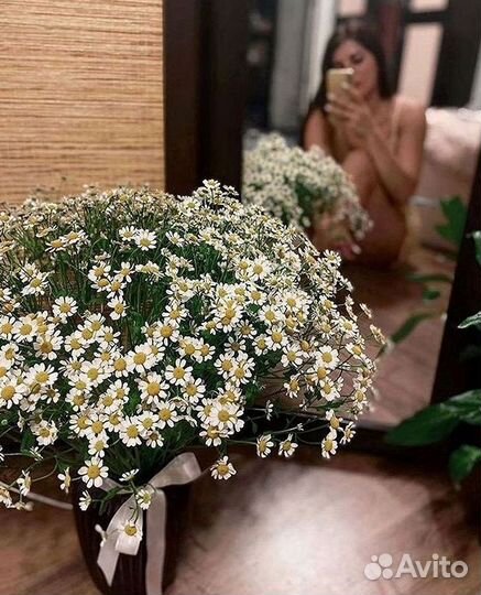 Ромашки Пионы Розы Доставка