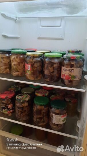 Грибы сморчки и строчки под заказ