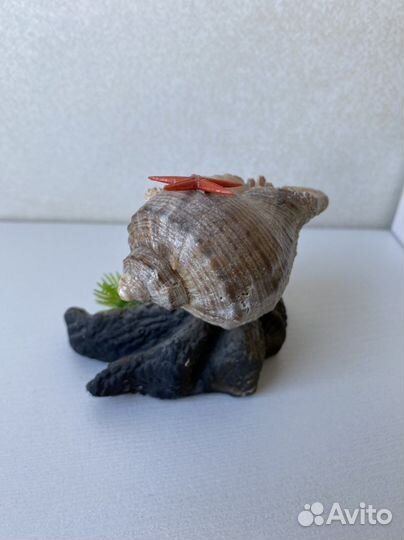 Морской сувенир (ракушка и краб)