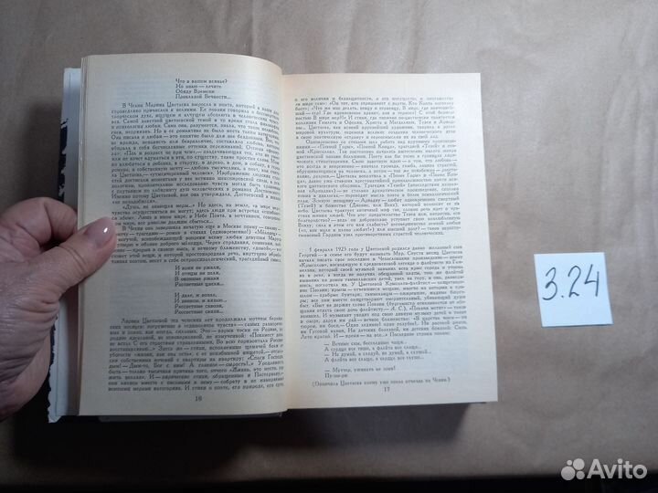 Марина Цветаева. Стихотворения. Поэмы Цветаева Мар