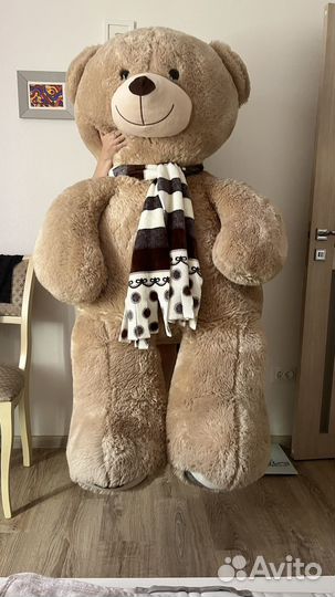 Большие плюшевые медведи