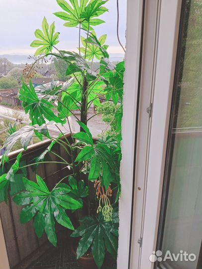 Искусственные цветы в горшках бу