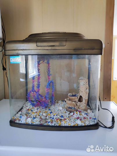 Аквариум