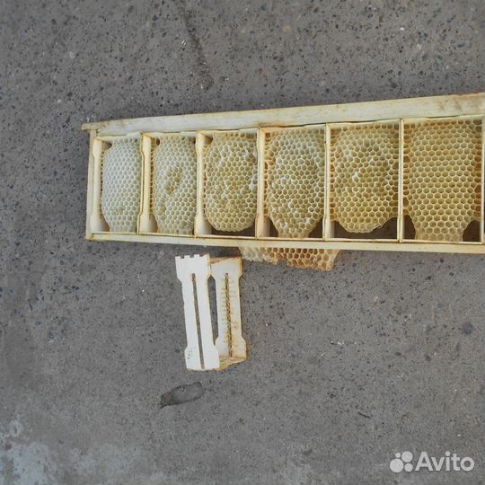 Рамка сушь для пчел (магазинный )