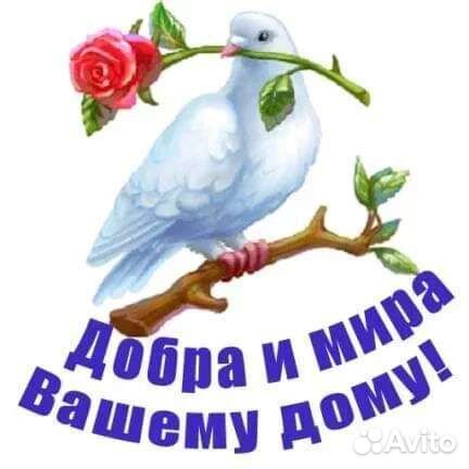 Компьютерное кресло