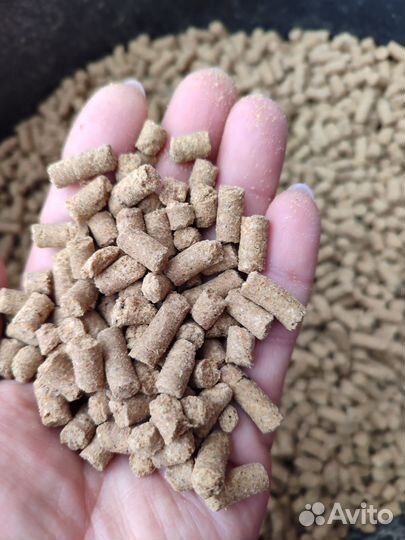 Сухой корм для собак и кошек