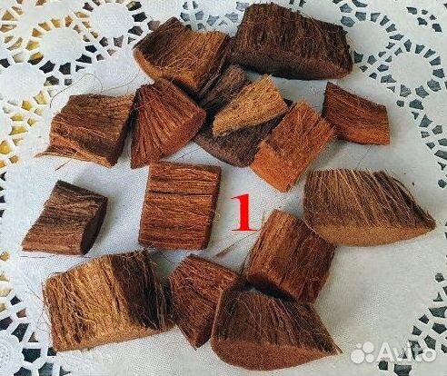 Натуральные сухоцветы