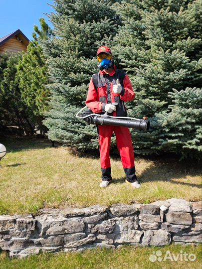 Дезинфекция