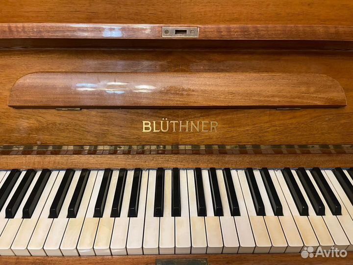 Пианино Blüthner