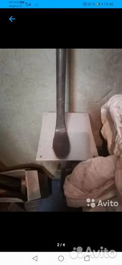 Лапа сапожника