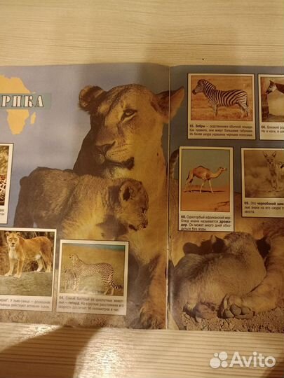 Журнал для наклеек Мир животных Панини