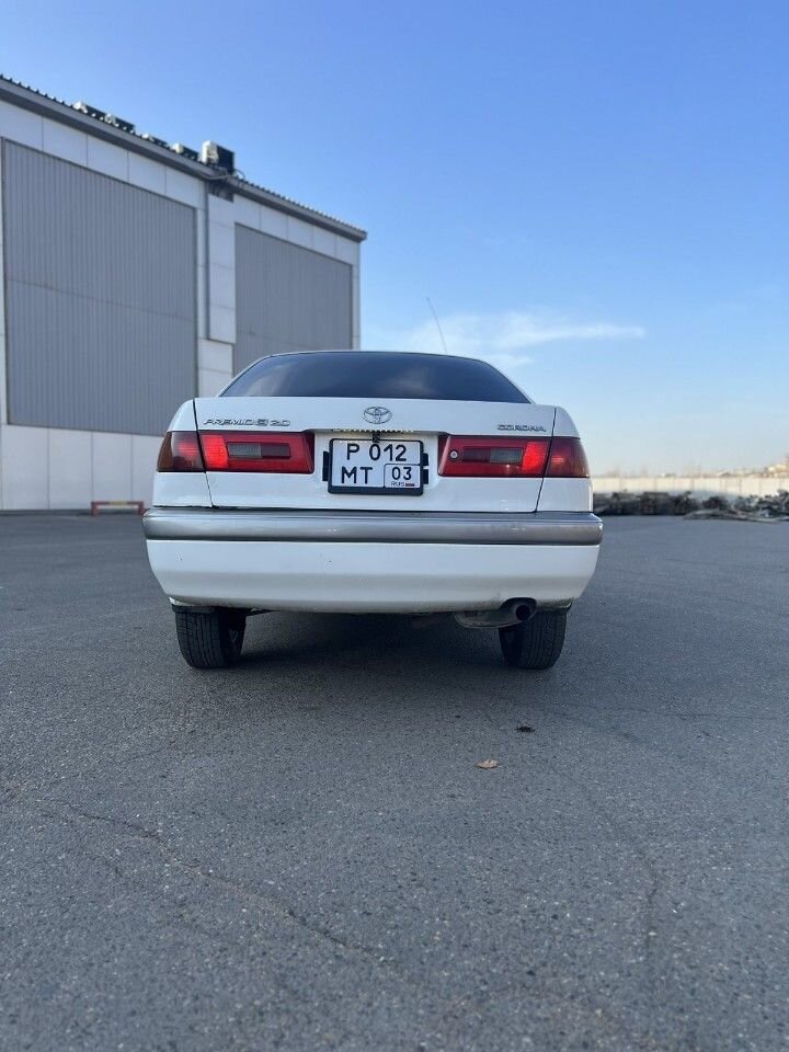 Toyota Corona Premio: фото из отзыва