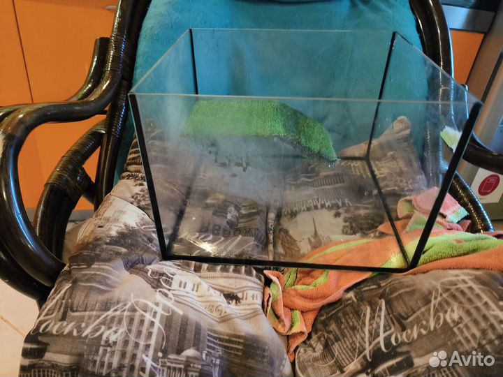 Аквариум для красноухой черепахи