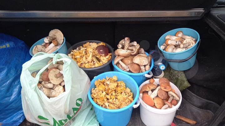 Участок 30 сот. (ИЖС)