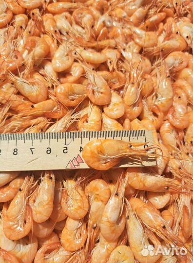 Креветка азовская вареная