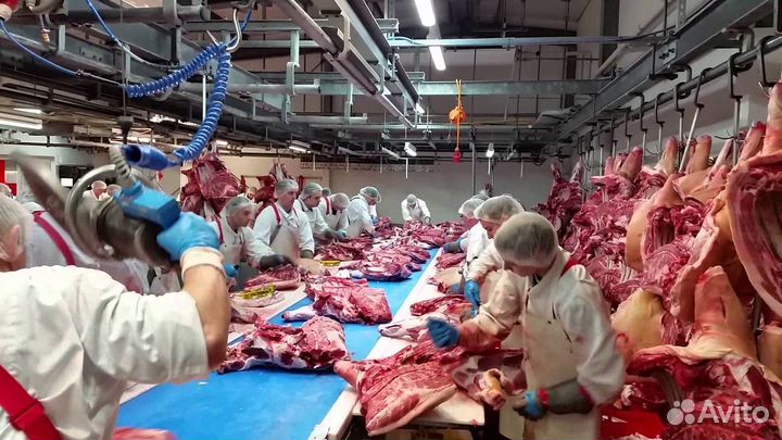 Ранорабочий 2400 на мясокомбинат вахта в Воронеже