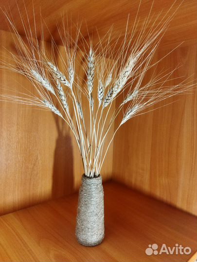 Пампасная трава. Сухоцветы. Букет