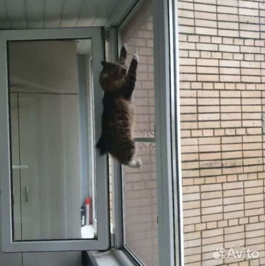 Москитные сетки на окна